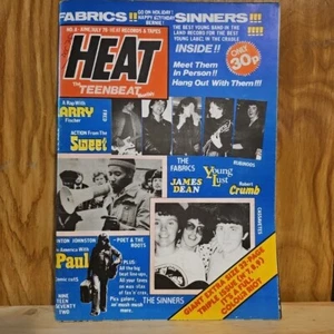 Teen Beat Heat Magazine #8 1978 Music FanZine + Erotic Comics James Dean - Imagen 1 de 13