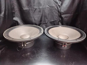 TAD TL-1601A 16" Tieftöner Lautsprechereinheit Pro Audio Japan Vintage High-End - Bild 1 von 20