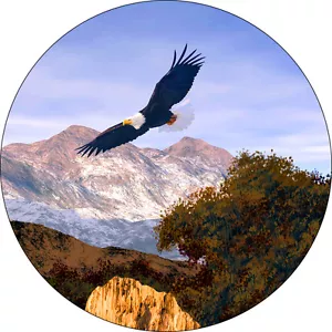 Eagle Mountains Flight Spare Tire Cover -add your size in NOTES during checkout - Picture 1 of 4