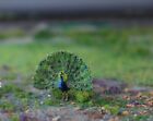 HO Scale Animals - HOK16 - H0 Blue Peacock - Hand Painted