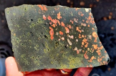 rawk11: Amapola plumita (piedra de flor) losa de jaspe - ¡Zeolitas orbiculares y olivino! Foto 1 de 4