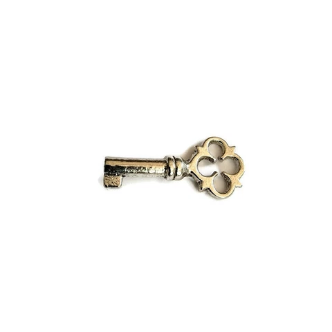 Small Key - Nickel Plated Iron Skeleton Antique Furniture Style Key Keepsake Cover