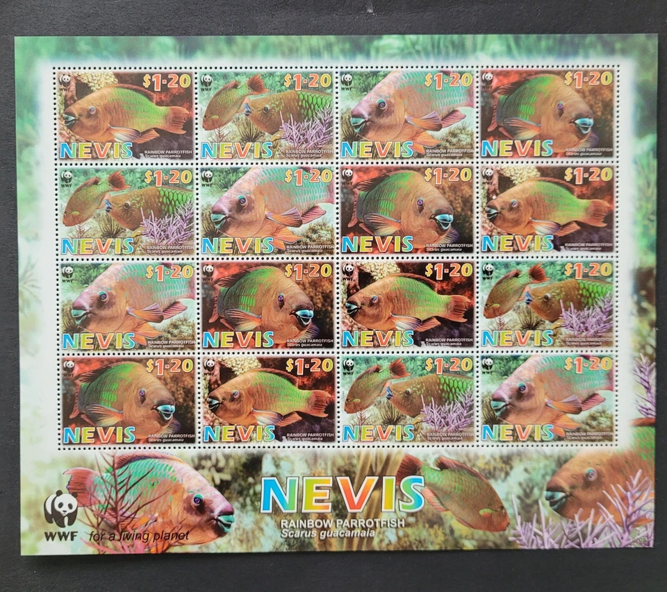 Nevis 2007 / WWF - Pez loro arco iris / bloque con 4 juegos Foto 1 de 1