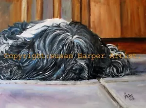 Tibetan Terrier Signed Dog Print by Susan Harper Unmounted - Picture 1 of 2