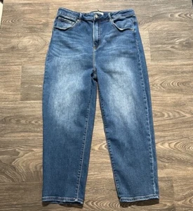 RISEN Jeans Size 2XL Women's Blue High Rise Curved Balloon Denim Stretch - Picture 1 of 13