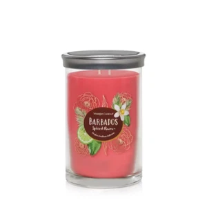 💛BARBADOS SPICED RUM💛YANKEE CANDLE 2 WICK TUMBLER💛20oz💛SOJAWACHSMISCHUNG - Bild 1 von 2