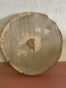 Baumscheibe, Holzscheibe, 50x3 cm, Ahorn - Bild 1 von 1