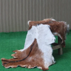 Authentic Dark Brown Goatskin Rug – Soft, Durable & Timeless Home Accent - Picture 1 of 9