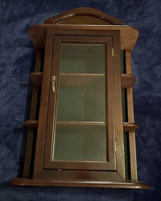 Gabinete de exhibición de pared de puerta de madera y vidrio vintage para curiosidades estante Knick Knack Foto 1 de 4