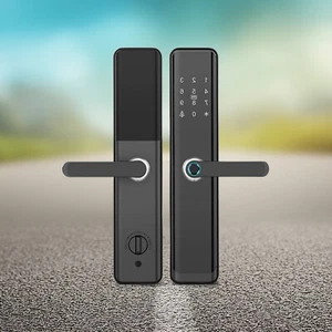 TTLock Smart Lock Tuya Wi-Fi Fingerprint Keyless Entry Door Lock with Handlet3Ur - Picture 1 of 16