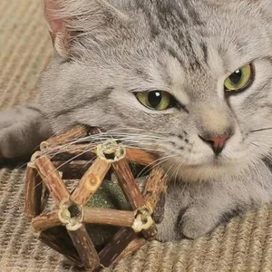 1x Juguetes molares para gatos juguete de pelota de hierba gatera interior madera poligonal suministros para gatos mejores - Imagen 1 de 15