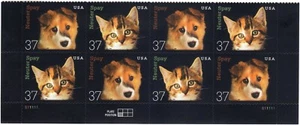 Scott #3671a (3670-71) Spay & Neuter Pets Plate Block of 8 Stamps - MNH Bottom - Picture 1 of 1
