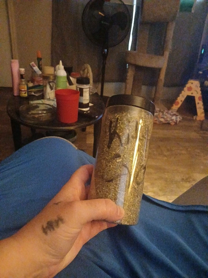 kitty Go! Cat nip for cats and or dogs - Image 1 of 1