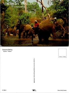 Asia Northern Thailand Elephants with Their Trainers Bathing UNP Postcard - Picture 1 of 1