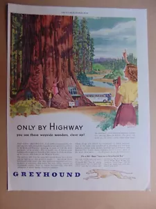 1946 GREYHOUND BUS solo in autostrada vedi meraviglie stradali pubblicità stampa d'epoca arte - Foto 1 di 1