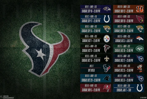Houston Texas 2023 Regular Season Schedule Poster Multiple sizes Cover