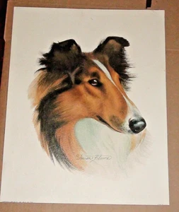 Sharon Blaine Collie Lassie Litho 11"X14" Lithographie Arthur Kaplan Co NYC #T85 - Bild 1 von 7