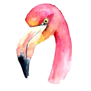 Autoaufkleber Sticker Boho Flamingo Aufkleber - Picture 1 of 1