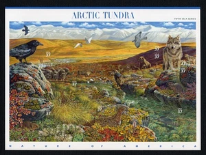 US STAMP SHEET: Scott 3802 "Arctic Tundra" (Nature of America #5) 2003 - Picture 1 of 1