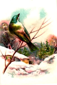 Antigua tarjeta de visita victoriana sin usar - pájaro pintado a mano con plumas reales - Imagen 1 de 2