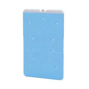 Companion Ice Brick Slim Large (650ml) Cooler Ice Pack Picnic Camping Lunch Box - Picture 1 of 2