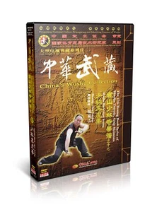 Songshan Shaolin Black-tiger Boxing by Chen Tongshan 2DVDs - No.017 - Picture 1 of 1