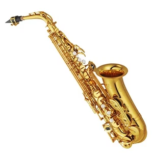 Nuevo Saxofón Alto Popular de Latón YAS-875EX E Saxo Instrumento Musical Con Estuche - Imagen 1 de 8