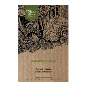 Roter Zigarren-Tabak (Nicotiana tabacum) 500 Samen - Bild 1 von 6