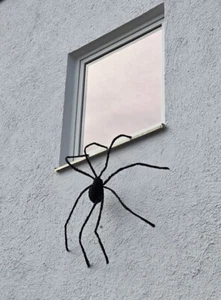 Schwarze Riesenspinne 150cm mit LED Augen - Bild 1 von 3