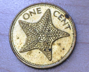 1980 Bahamas 1 Cent Starfish - Picture 1 of 2