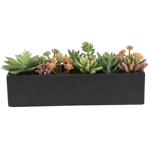 Faux Foliage Succulent Artificial Foliage 13" x 4" x 5" Green - Picture 1 of 6
