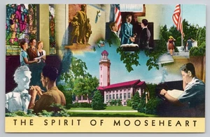 Treuer Elchorden, Elchherz Schule Mitteilung für die Einschreibung Illinois Postkarte - Bild 1 von 2