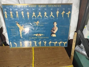 TAE KWON DO HYUNG JHOON RHEE BLACK BELT KARATE KATA MARTIAL ARTS Poster Rare - Picture 1 of 4