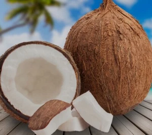 (3 PACK) FRESH WHOLE COCONUT HAND PICKED FRESH HARVEST - Picture 1 of 2