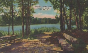 Hermosa escena a lo largo de Peninsula Drive - Erie, Pennsylvania - lino sin publicar - Imagen 1 de 3