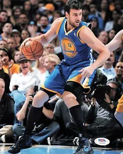 Andrew Bogut signed 8x10 photo PSA/DNA Golden State Warriors Autographed - Picture 1 of 1