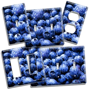 BLUEBERRY BAYAS COCINA COMEDOR DECORACIÓN LUZ INTERRUPTOR TOMA PLACA PARED CUBIERTA - Imagen 1 de 13