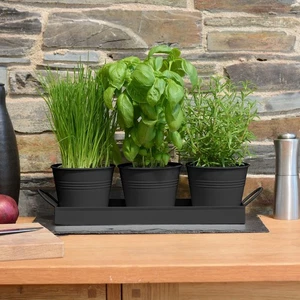 Indoor Herb Planters Tray Kitchen Windowsill Plant Pot With Handle Black Set UK - Picture 1 of 6