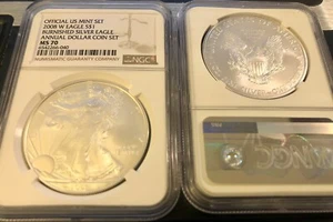 2008-W ANNUAL $1 SET burnished SILVER EAGLE - NGC MS70 - NGC New Brown LABEL - Picture 1 of 1