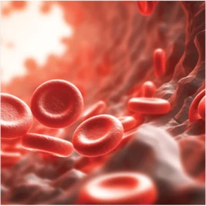 The Brigham  Review and Comprehensive Update in Hematology 2025 - Picture 1 of 1