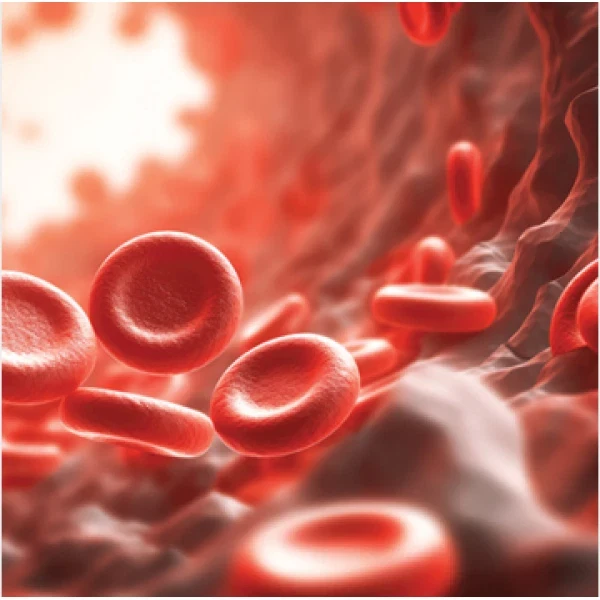 The Brigham  Review and Comprehensive Update in Hematology 2025 - Image 1 of 1