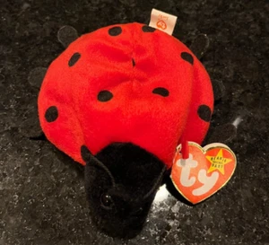 TY BEANIE BABIES Lucky the Ladybug Lady Bug With Many Errors! - Picture 1 of 9