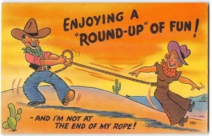 Western Comic COWBOY & COWGIRL "Round-Up of Fun" Lasso 1940er Vintage Postkarte - Bild 1 von 2