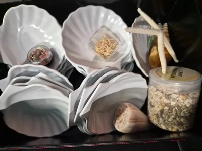 Coastal 贝壳服务和装饰套装 – 25 件贝壳碗和盘子 + 更多 — 第 1/4 张图片