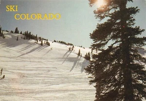 Skiers Paradise, Colorado 4 x 6 Vintage Unposted Chrome PC - Picture 1 of 2