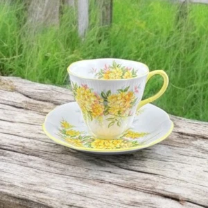 Royal Albert Tea Cup Saucer Set Blossom Time Series Laburnum Vintage Bone China - Picture 1 of 19
