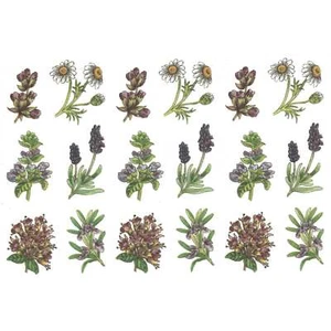 Herb Thyme Basil Rosemary Lavender Bits Overglaze Ceramic Decals - Picture 1 of 2
