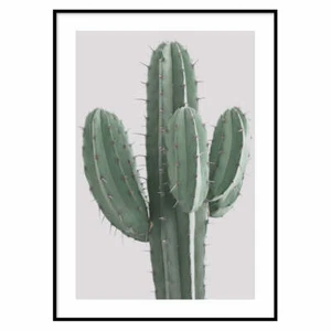 Poster Cactus Poster arredo bagno salotto Poster sucarta di alta qualita moderno - Picture 1 of 27