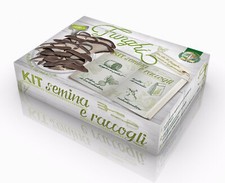 Kit Semina & Raccogli Pleurotus Ostreatus