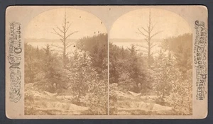Kanada 1880er Stereoview Foto von Esson. Blick auf den kleinen See Joseph, Muskoka - Bild 1 von 2